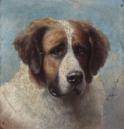 GO DOG犬题材油画高清图的油画作品-GODOG犬题材第二季1501=07