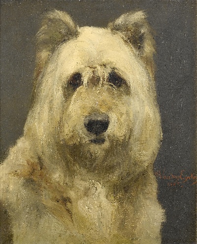 GO DOG犬题材油画高清图的油画作品-GODOG犬题材第二季1501=08