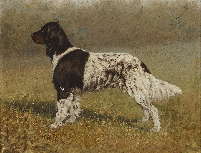 GO DOG犬题材油画高清图的油画作品-GODOG犬题材第二季1501=74