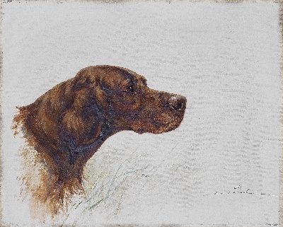 GO DOG犬题材油画高清图的油画作品-GODOG犬题材第二季1501=79