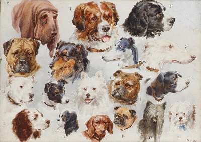 GO DOG犬题材油画高清图的油画作品-GODOG犬题材第二季1501=81