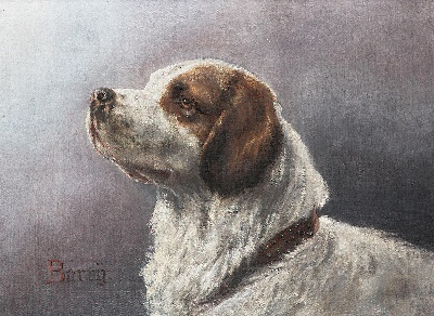 GO DOG犬题材油画高清图的油画作品-GODOG犬题材第二季1501=100