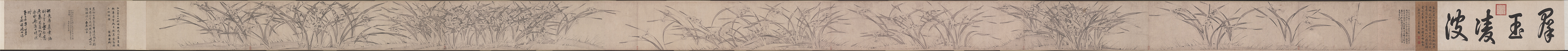 宋 赵孟坚 墨兰图卷，水仙图卷的国画作品-宋 赵孟坚 水仙图卷纸本24.5x670.2天津市艺术博物馆