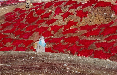 Bruno Barbey作品集.My Morocco的摄影作品