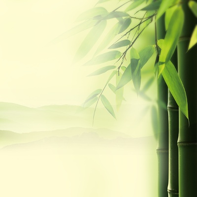 中国风的PSD模板-慢摇的小鱼儿---中国风--- (6)