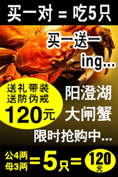 钻展的PSD模板-设计团队025