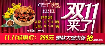钻展的PSD模板-设计团队031