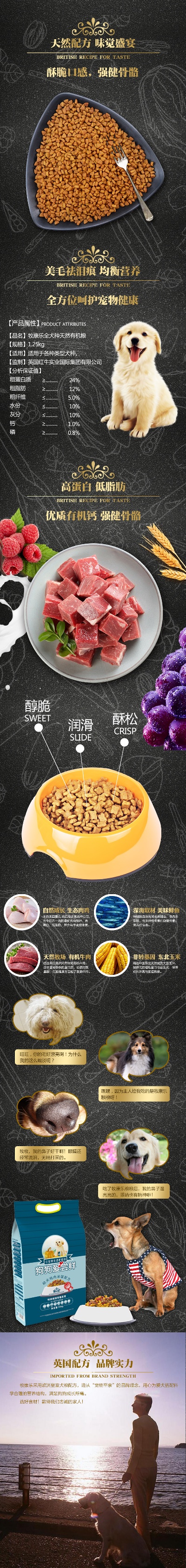 宠物的PSD模板-宠物用品24