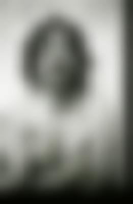 泰利理查的摄影作品