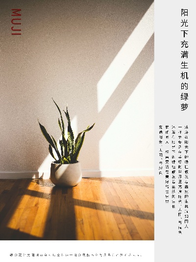  日式简约海报58款的PSD模板-素材 (5)