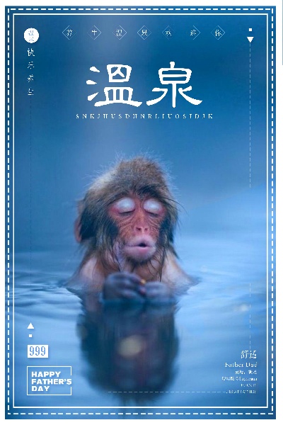  日式简约海报58款的PSD模板-素材 (51)