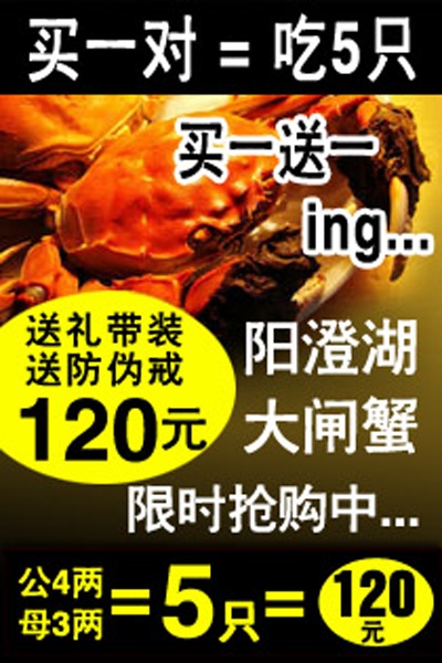 钻展的PSD模板-设计团队025
