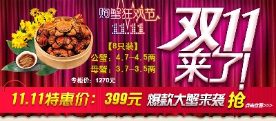 钻展的PSD模板-设计团队031