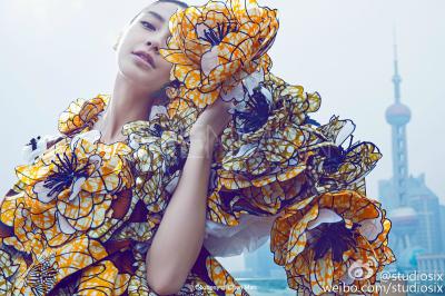 陈漫作品集之特写的摄影作品