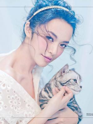陈漫作品集之特写的摄影作品
