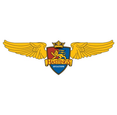 全球航空业标志设计的图标-_210