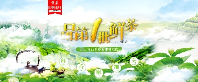 _茶类农产品海报.psd格式的PSD模板-TimiPS_茶类海报模板 (4)