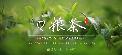 _茶类农产品海报.psd格式的PSD模板-TimiPS_茶类海报模板 (37)