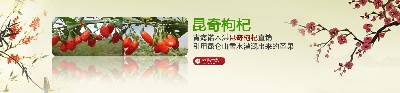 海报模板 (3)的PSD模板-海报模板3 (39)