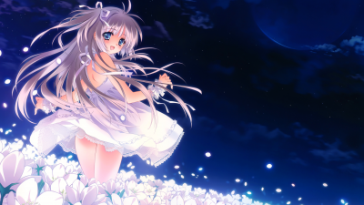 P站人气4.LoliHouse 2nd Anniversary Gift Wallpaper Part_04 16：9的作品-yande.re 265675