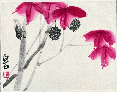 历代国画.齐白石.源文件的国画作品-红叶秋蝉