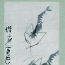 历代国画.虾13张.齐白石