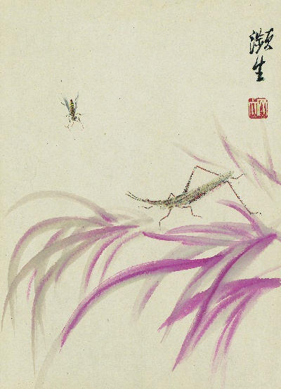 历代国画.源文件.册页20开单本的国画作品-齐白石拍照册页20开-02