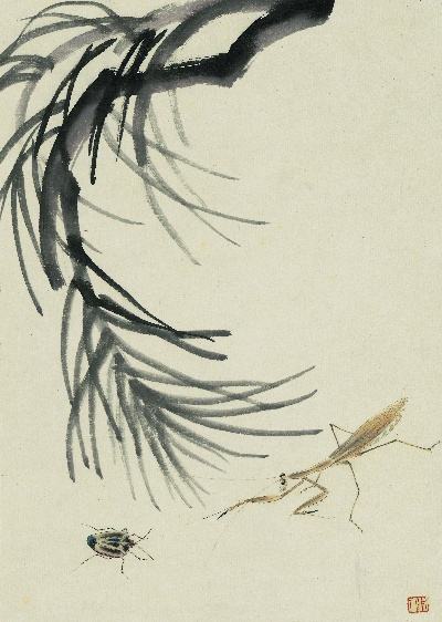 历代国画.源文件.册页20开单本的国画作品-齐白石拍照册页20开-14