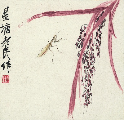 历代国画.源文件.册页8开9重复9的国画作品-近现代 齐白石-1-螳螂谷穗图 纸本34.5x34.5