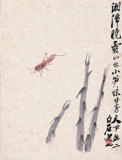 历代国画.源文件.工虫八开的国画作品-齐白石工虫八开 竹笋蚂蚱