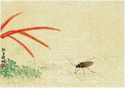 历代国画.源文件.早年册页4张重复3的国画作品-39－齐白石－牛角虫