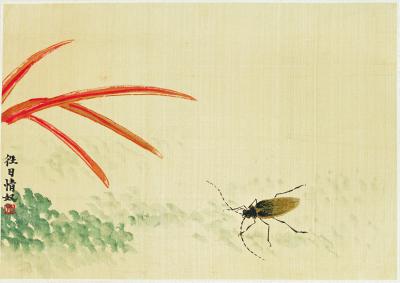 历代国画.源文件.早年册页4张重复3的国画作品-39－齐白石－牛角虫