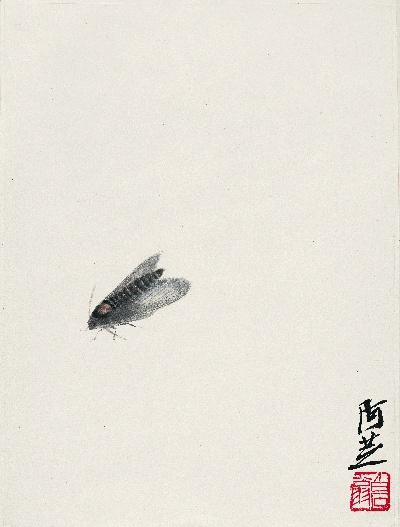 历代国画.源文件.昆虫册页7的国画作品-灰蛾.