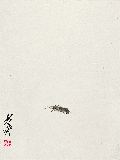 历代国画.源文件.昆虫册页7的国画作品-蝼蛄
