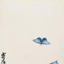 历代国画.源文件.昆虫册页7