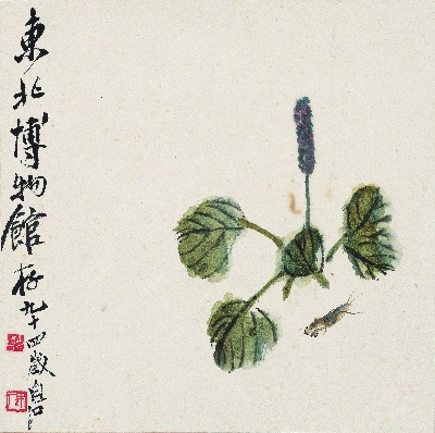 历代国画.源文件.花卉草虫册页（17开）重复5的国画作品-1086-蝼蛄红蓼图