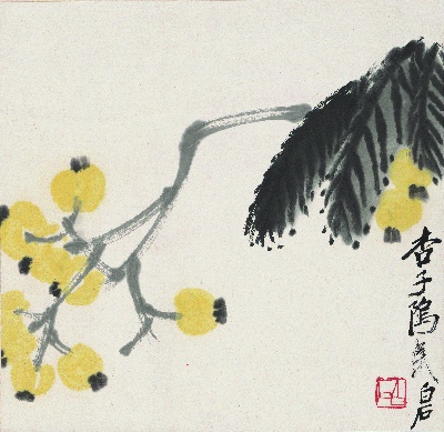 历代国画.源文件.花卉草虫册页（17开）重复5的国画作品-1086-枇杷图