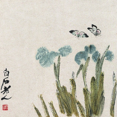 历代国画.源文件.花果草虫二四开册页25张的国画作品-1085- 白石老人花果草虫册-幽兰蝴蝶图