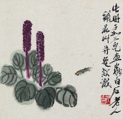 历代国画.源文件.花果草虫二四开册页25张的国画作品-1085- 白石老人花果草虫册-花卉蝼蛄图