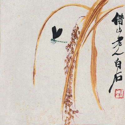 历代国画.源文件.花果草虫二四开册页25张的国画作品-1085-白石老人花果草虫册-谷穗蜻蜓图