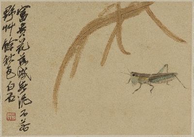 历代国画.源文件.虫草十开的国画作品-QBS-PS-20