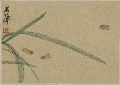 历代国画.源文件.虫草十开的国画作品-QBS-PS-13