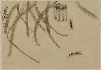历代国画.源文件.虫草十开的国画作品-QBS-PS-15