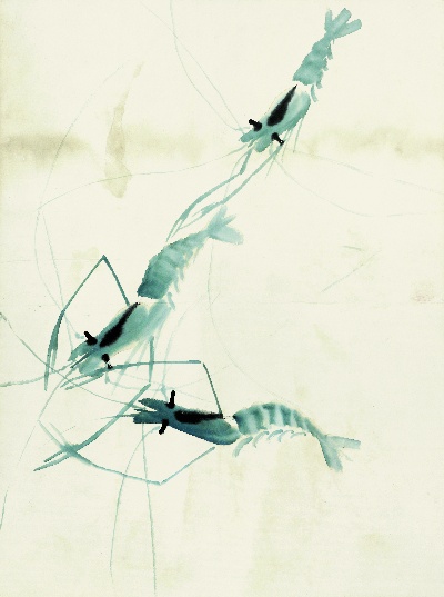 历代国画.源文件.鱼虾册100张的国画作品-齐白石 鱼虾册页(37)