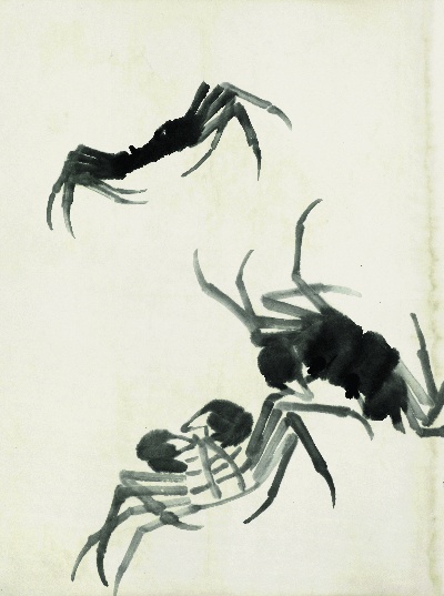 历代国画.源文件.鱼虾册100张的国画作品-齐白石 鱼虾册页(10)