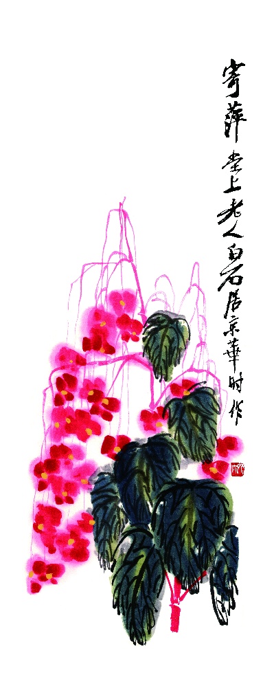 历代国画.源文件.齐白石的国画作品-40齐白石《秋海棠》