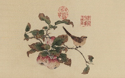 国画印刷版.五代.黄筌的国画作品-宋 黄筌 苹婆山鸟图 34x55台北