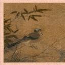 国画印刷版.宋.赵昌