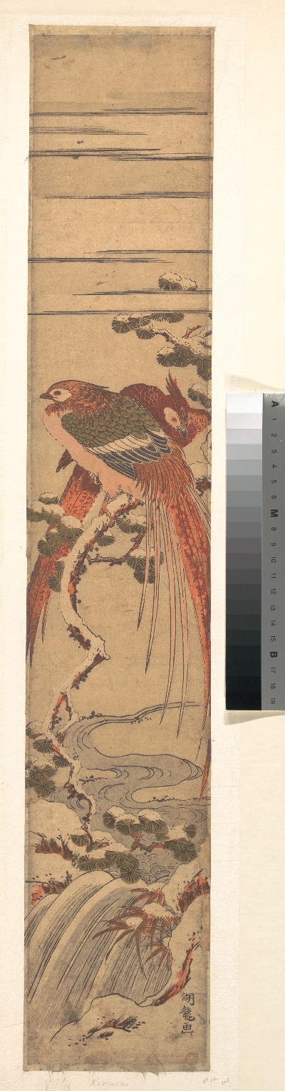 日本绘画.日本浮世绘的绘画作品-DP144613