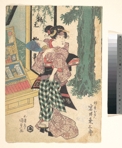 日本绘画.日本浮世绘的绘画作品-DP148998